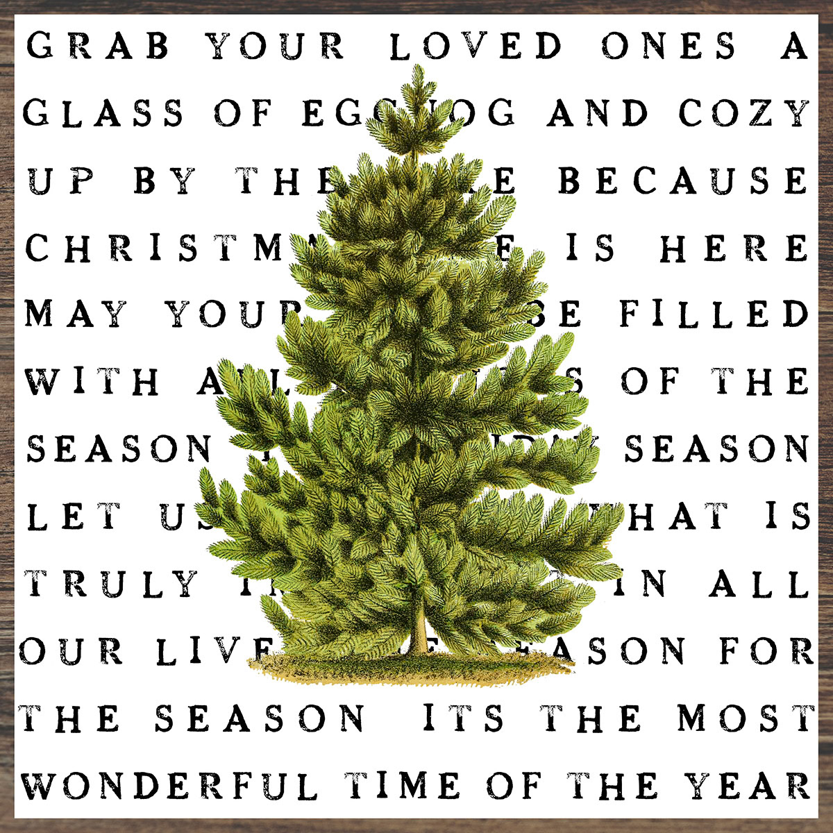 SH_Cmas_conifer-00169_Tree with Phrase_Creatif ©Steve Haskamp - Creatif License