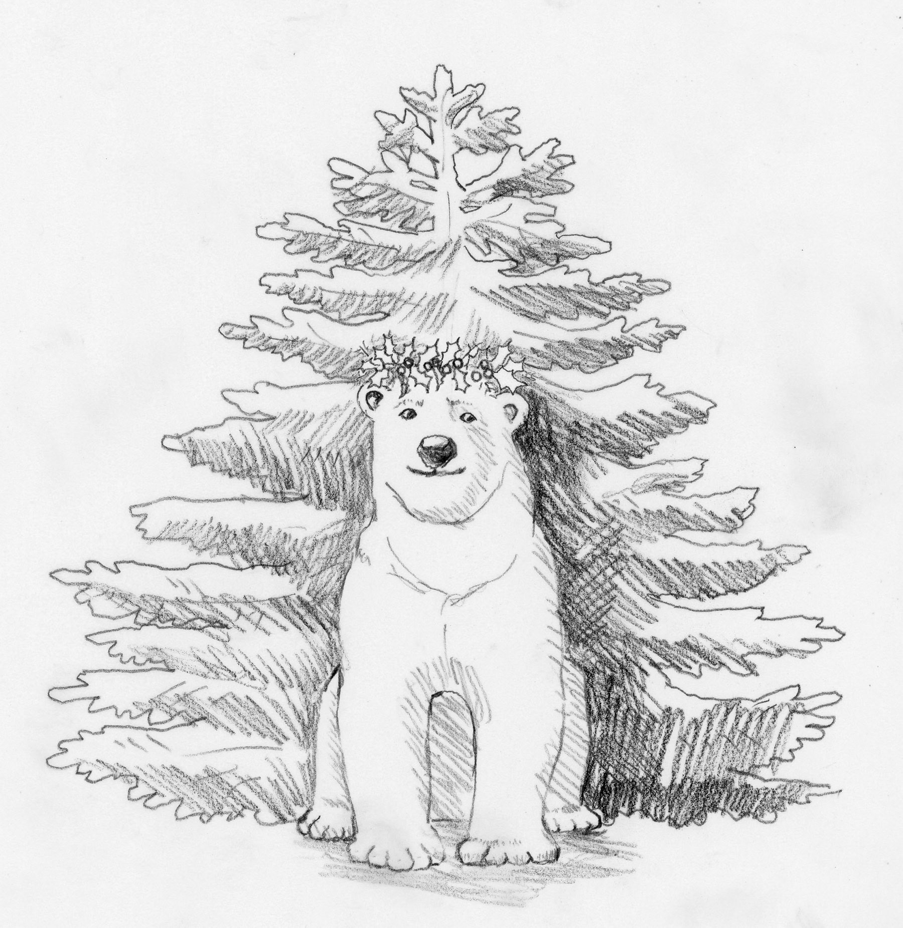 SH_Peaceful Polar Bear sketch_Creatif ©Steve Haskamp - Creatif License