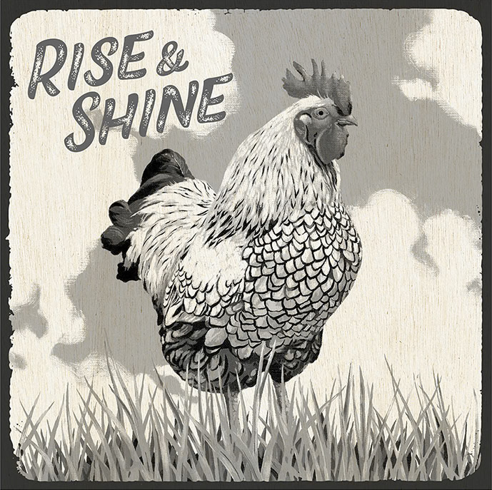 SH_1885_6b_Rooster on woodgrain Collection_Creatif ©Steve Haskamp - Creatif License