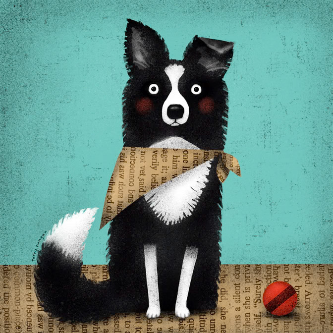BORDER COLLIE 100dpi _Dog _  Creatif ©Terry Runyan - Creatif License