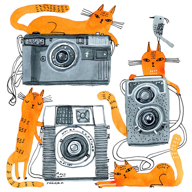 CAMERA CATS - Terry Runyan - Creatif _Cat _  Creatif