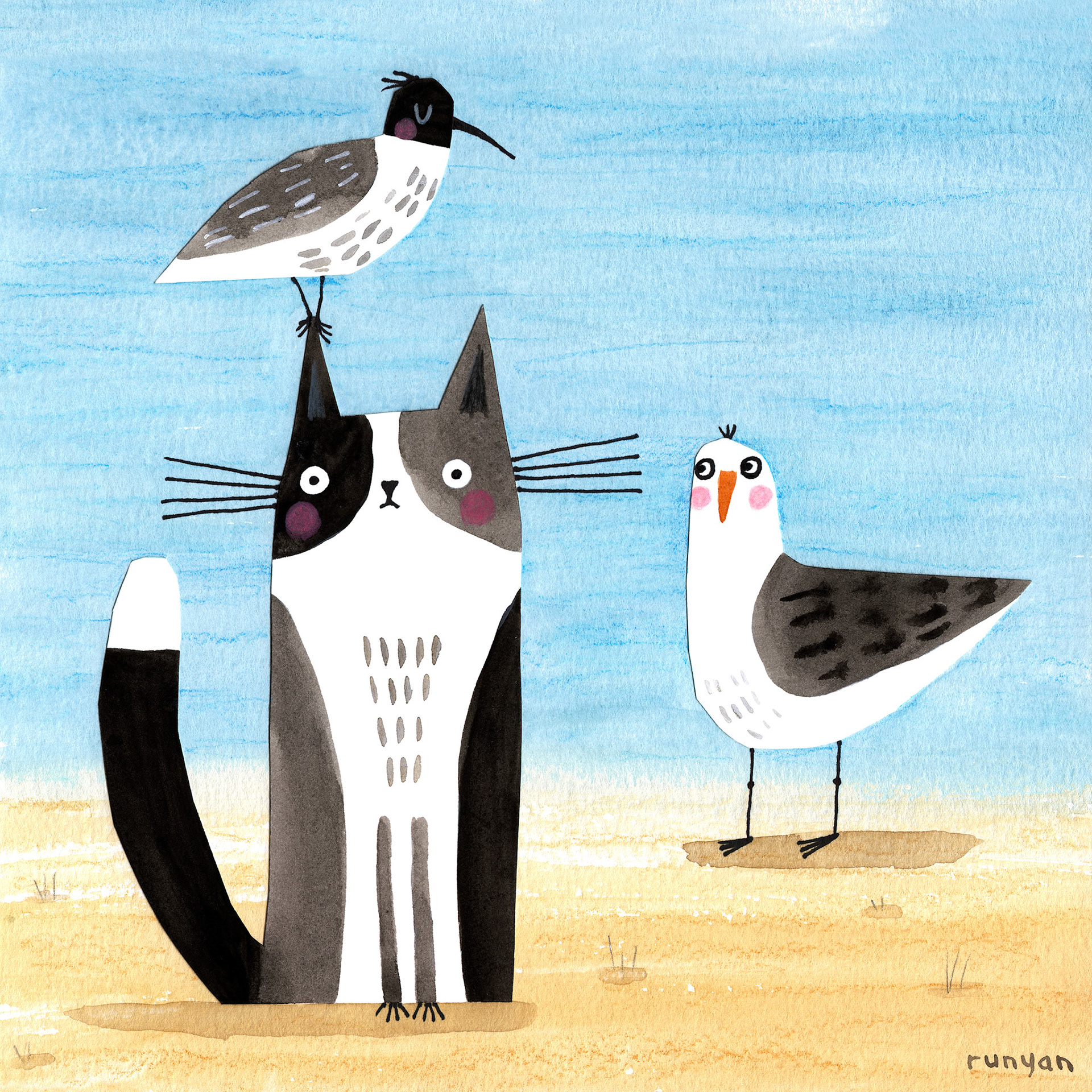 SORTA SEABIRDS ©Terry Runyan - Creatif License