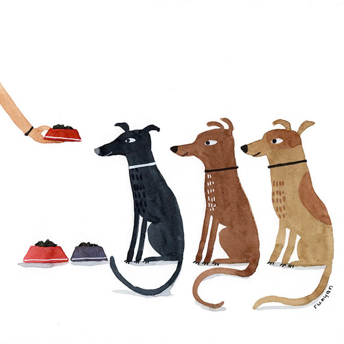 BREAKFAST - Terry Runyan - Creatif _Dog _  Creatif ©Terry Runyan - Creatif License