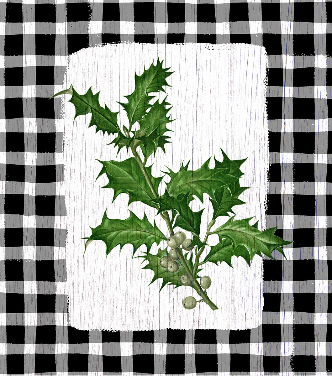 SH_Cmas_Botanical Holly on Check Plaid BW_Creatif ©Steve Haskamp - Creatif License