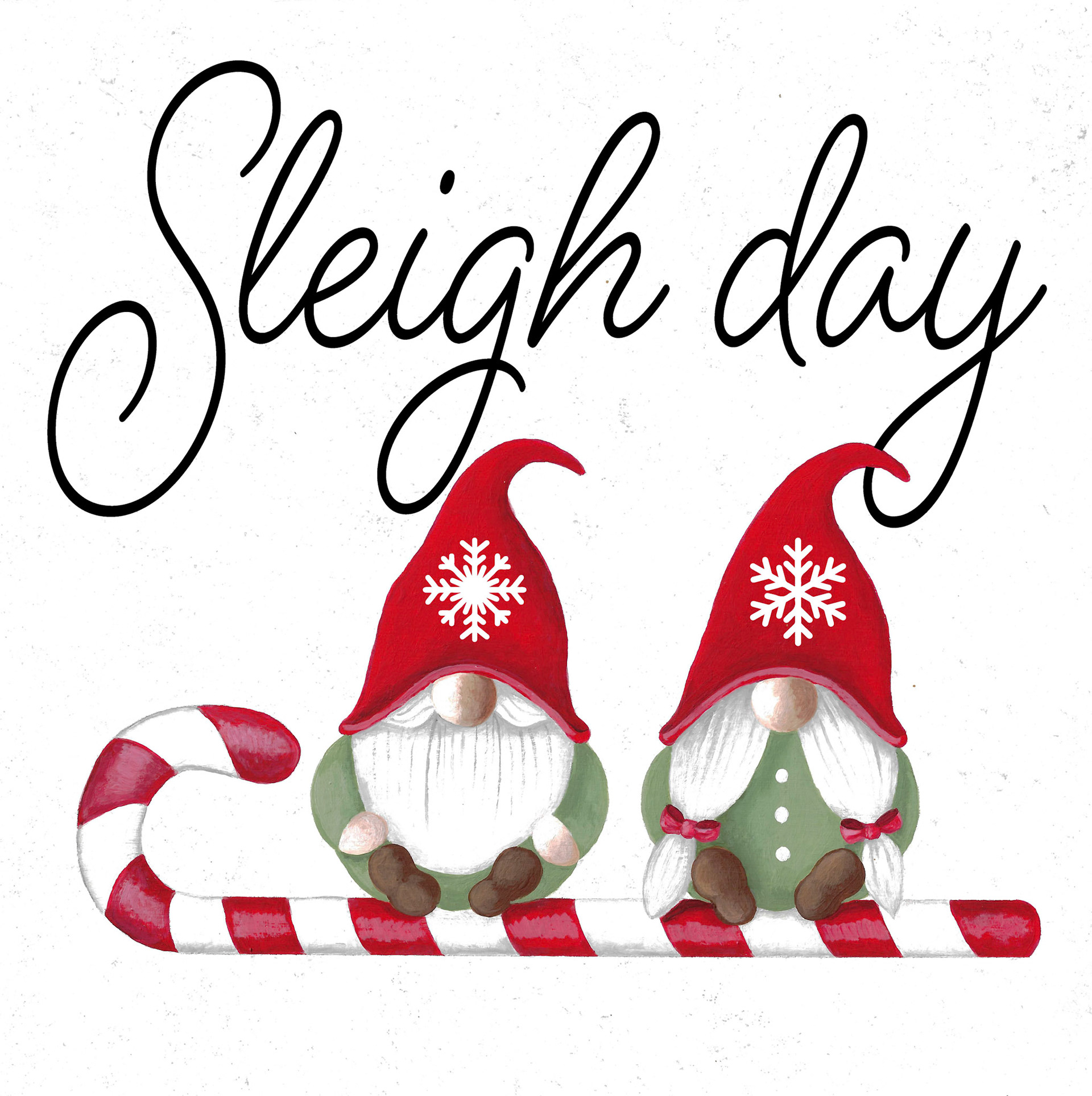 DS_Cmas_sleighday