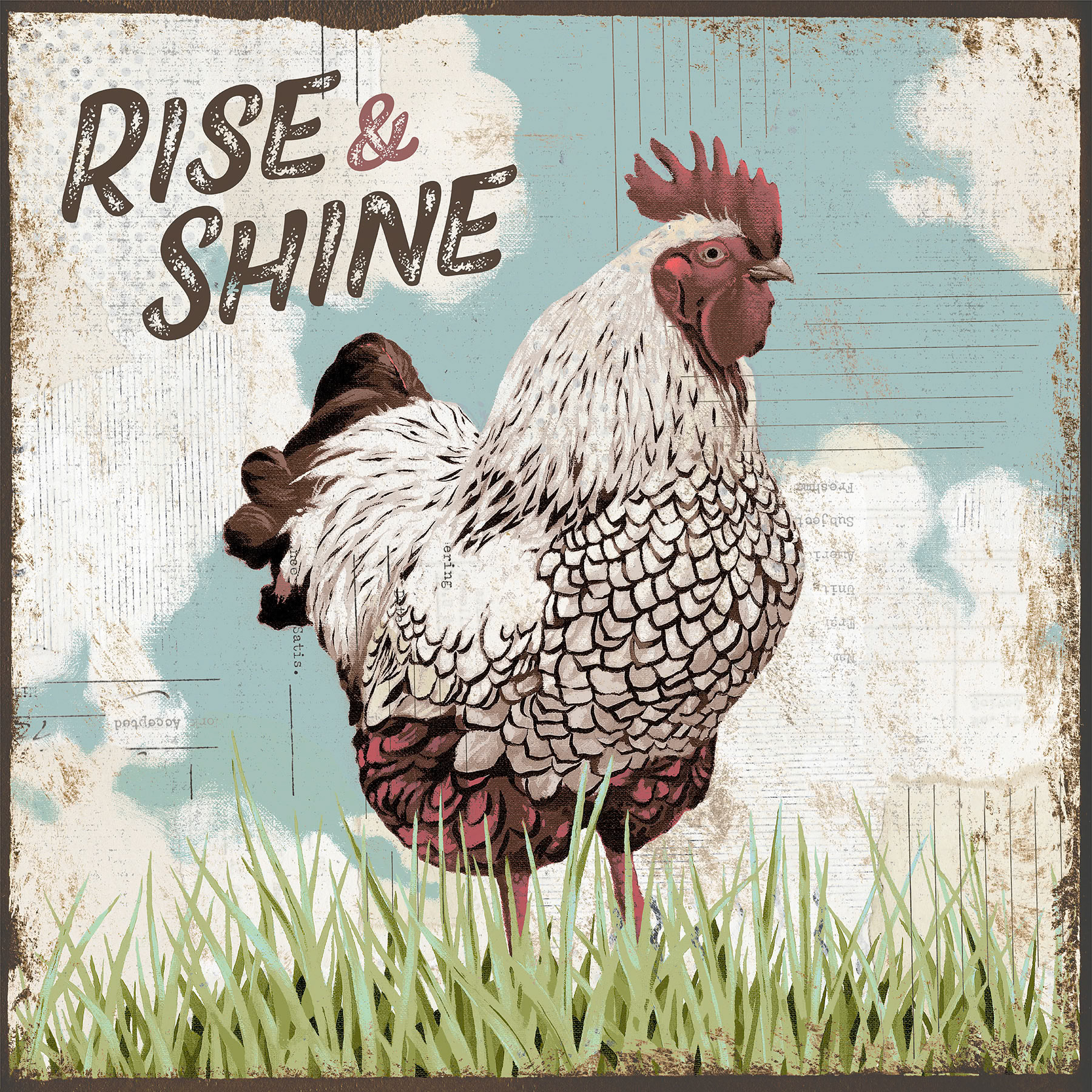 SH_Bird_1885_2b_ Sepia Rooster_Creatif ©Steve Haskamp - Creatif License