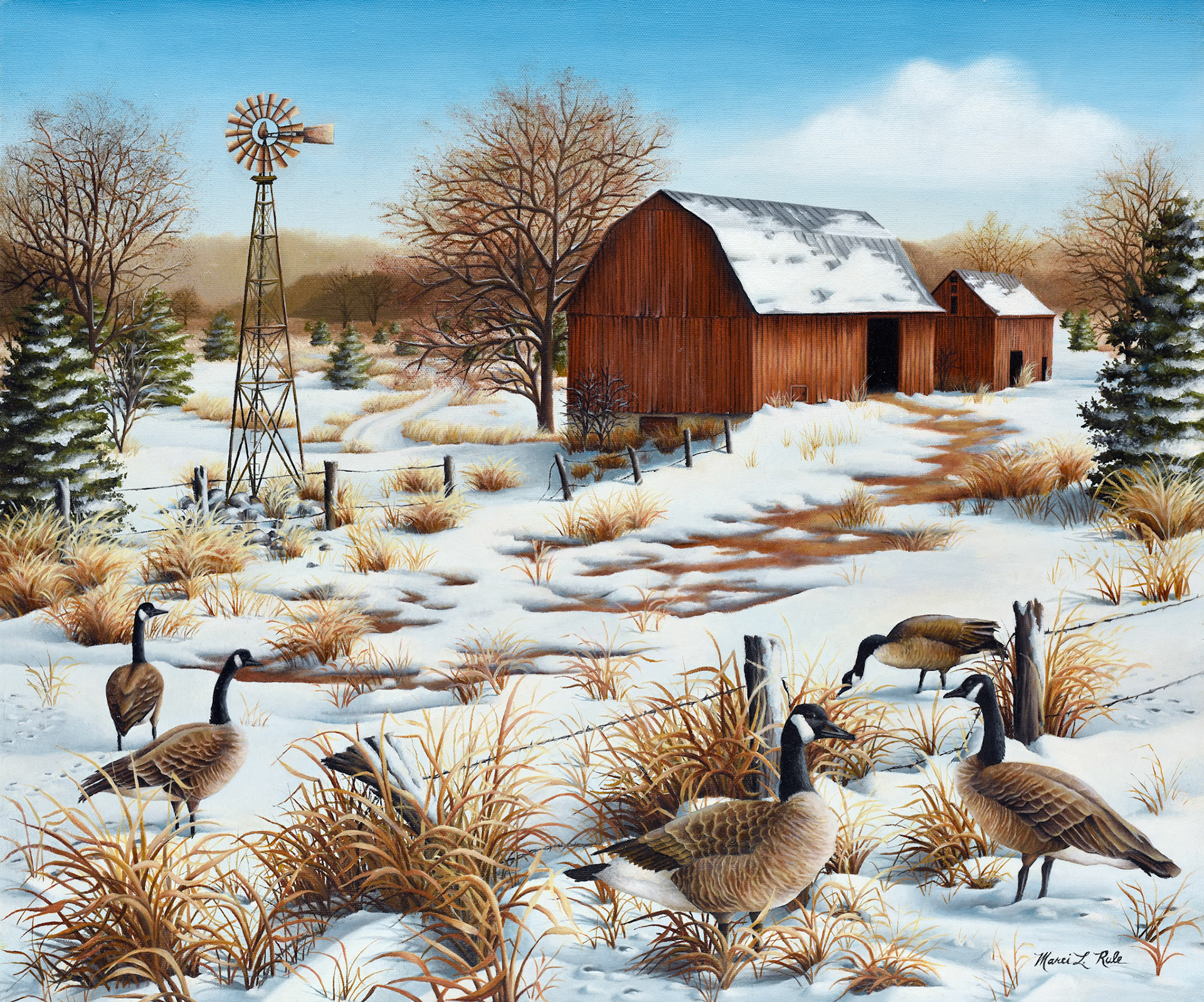 MLR_winter farm_geese