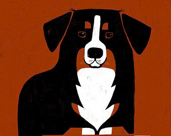 TR-il_340x270-1576158471_1ct8-Creatif _Dog _  Creatif