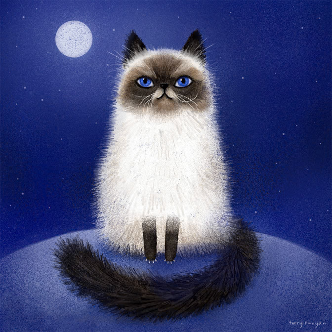 HIMALAYAN 100dpi _Cat _  Creatif