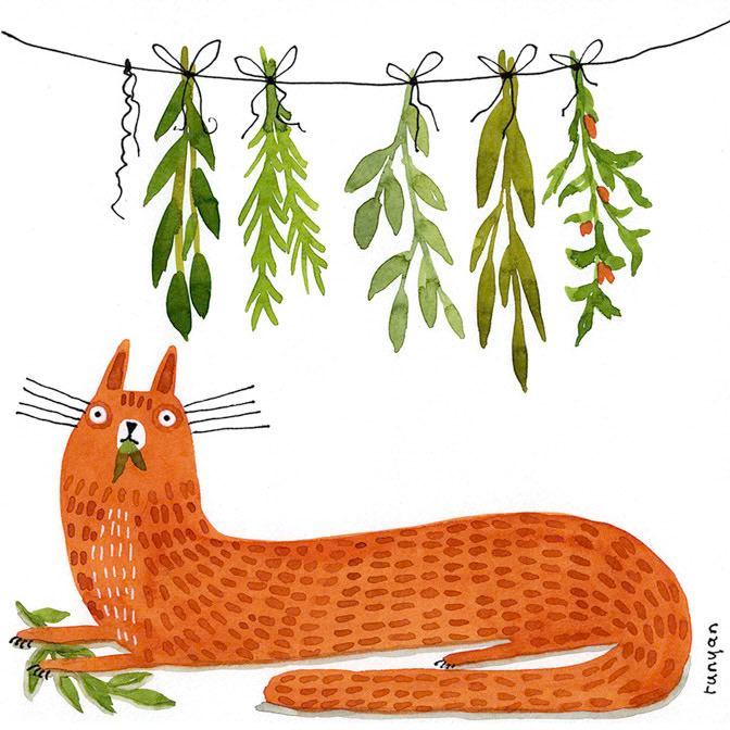 HERBS - Terry Runyan - Creatif _Cat _  Creatif