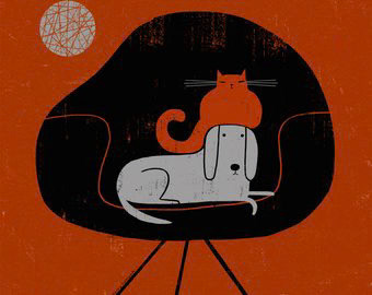 TR-il_340x270-1472405300_660f-Creatif _Cat Dog _  Creatif