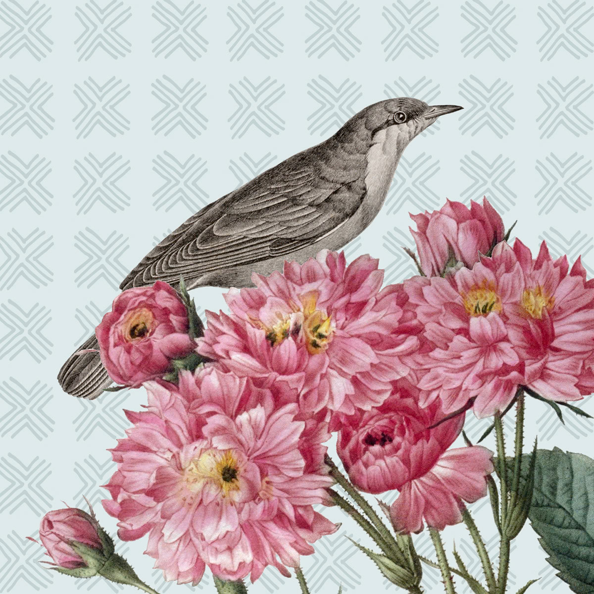 SH_Bird_2426_Botanical Rendered Bird Layout_Creatif ©Steve Haskamp - Creatif License
