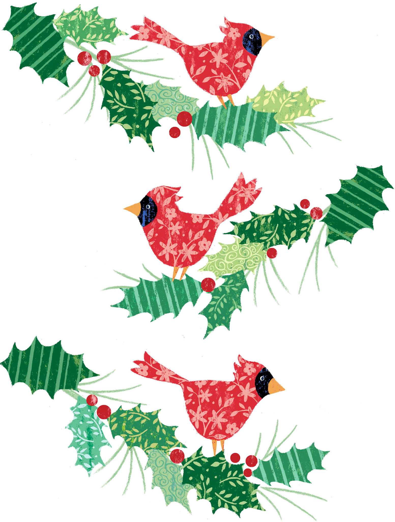 SH_Cmas_744-CardinalsOnHolly ©Steve Haskamp - Creatif License