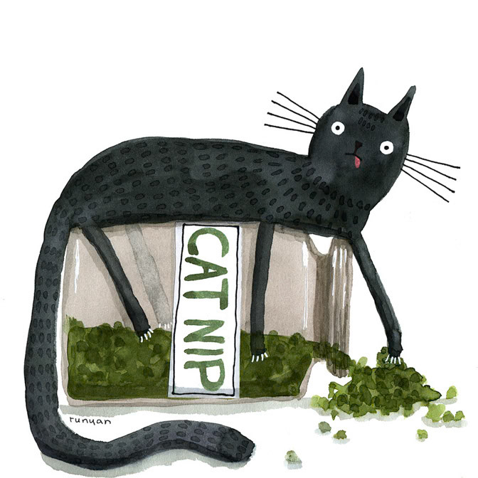 KITTY POT - Terry Runyan - Creatif _Cat _  Creatif