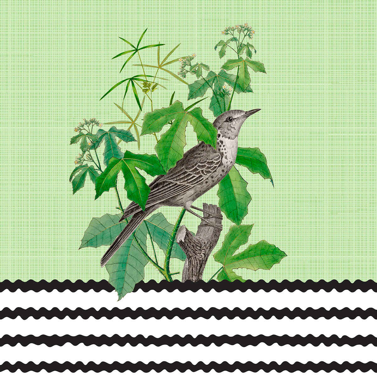 SH_Bird_2422_Botanical Black and white bird Layout 1_Creatif ©Steve Haskamp - Creatif License