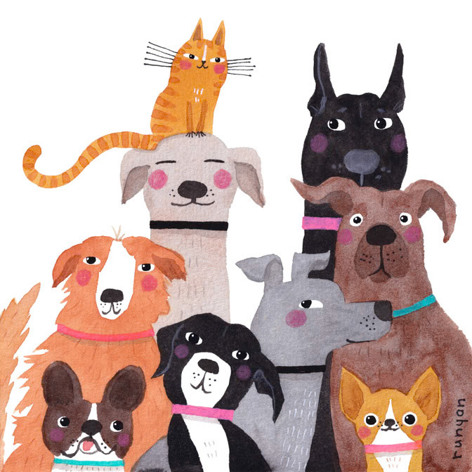PHOTOBOMB HAT 13x13 _and a cat- Dogs _  Creatif