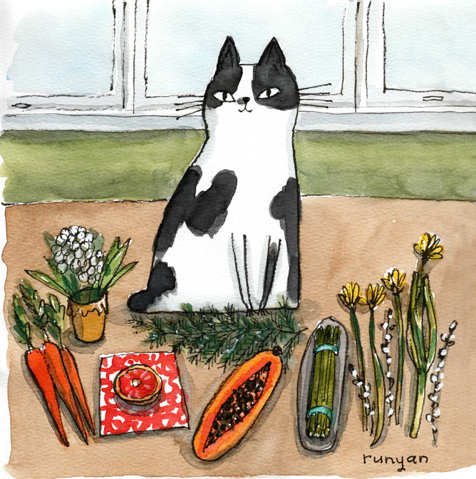 04-12-2022 ZABUN STILL LIFE _Cat- Garden- Veggie _  Creatif