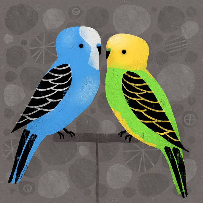 PARAKEETS - Terry Runyan - Creatif _Animals- Bird _  Creatif ©Terry Runyan - Creatif License