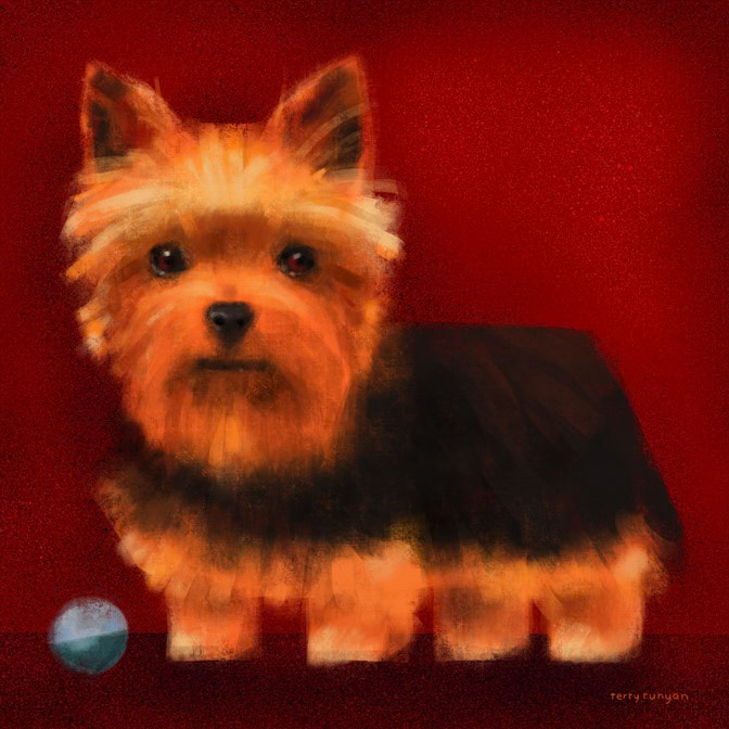YORKIE _Dogs _  Creatif ©Terry Runyan - Creatif License