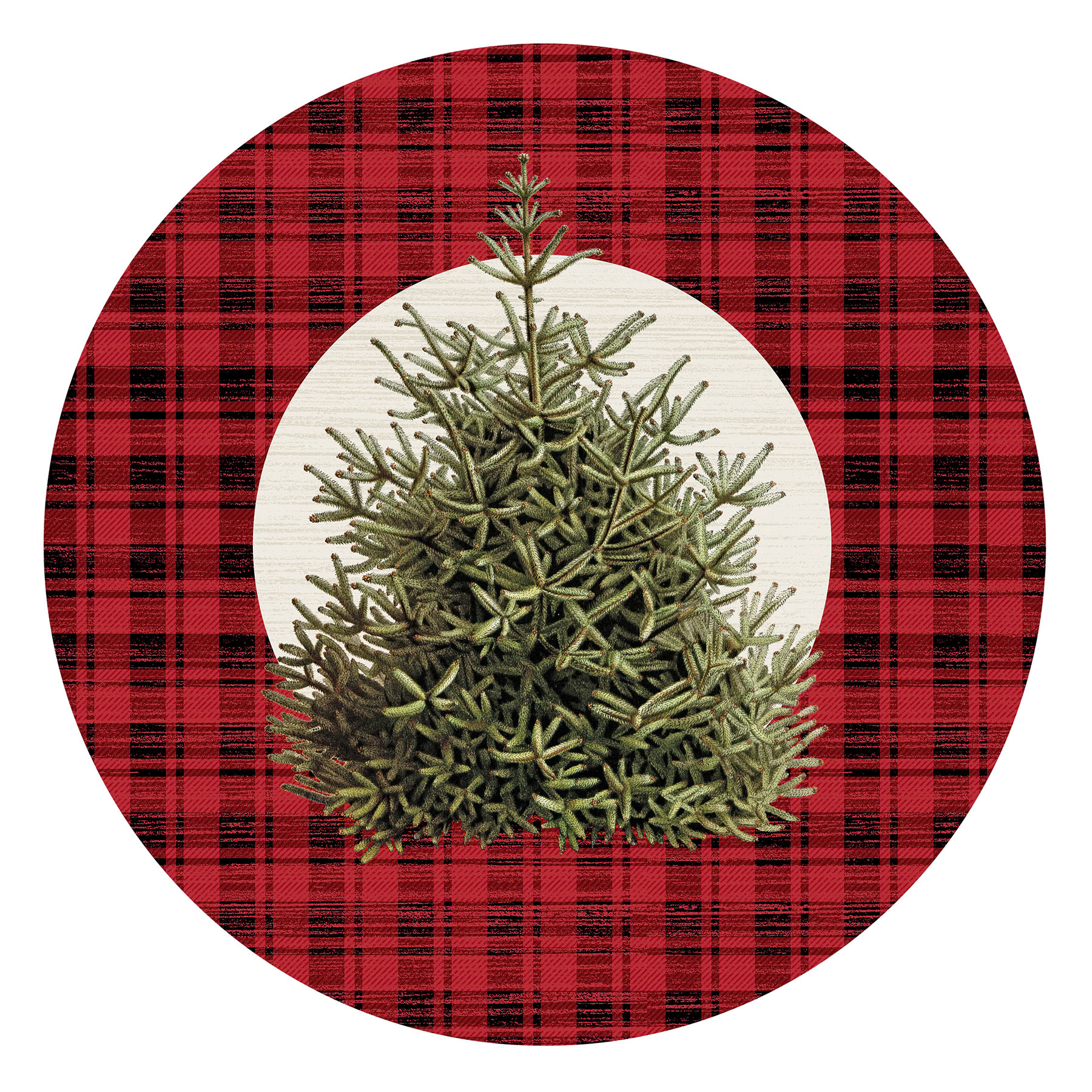 SH_Cmas_2552_Xmas Natural Tree on Plaid 2_Creatif ©Steve Haskamp - Creatif License