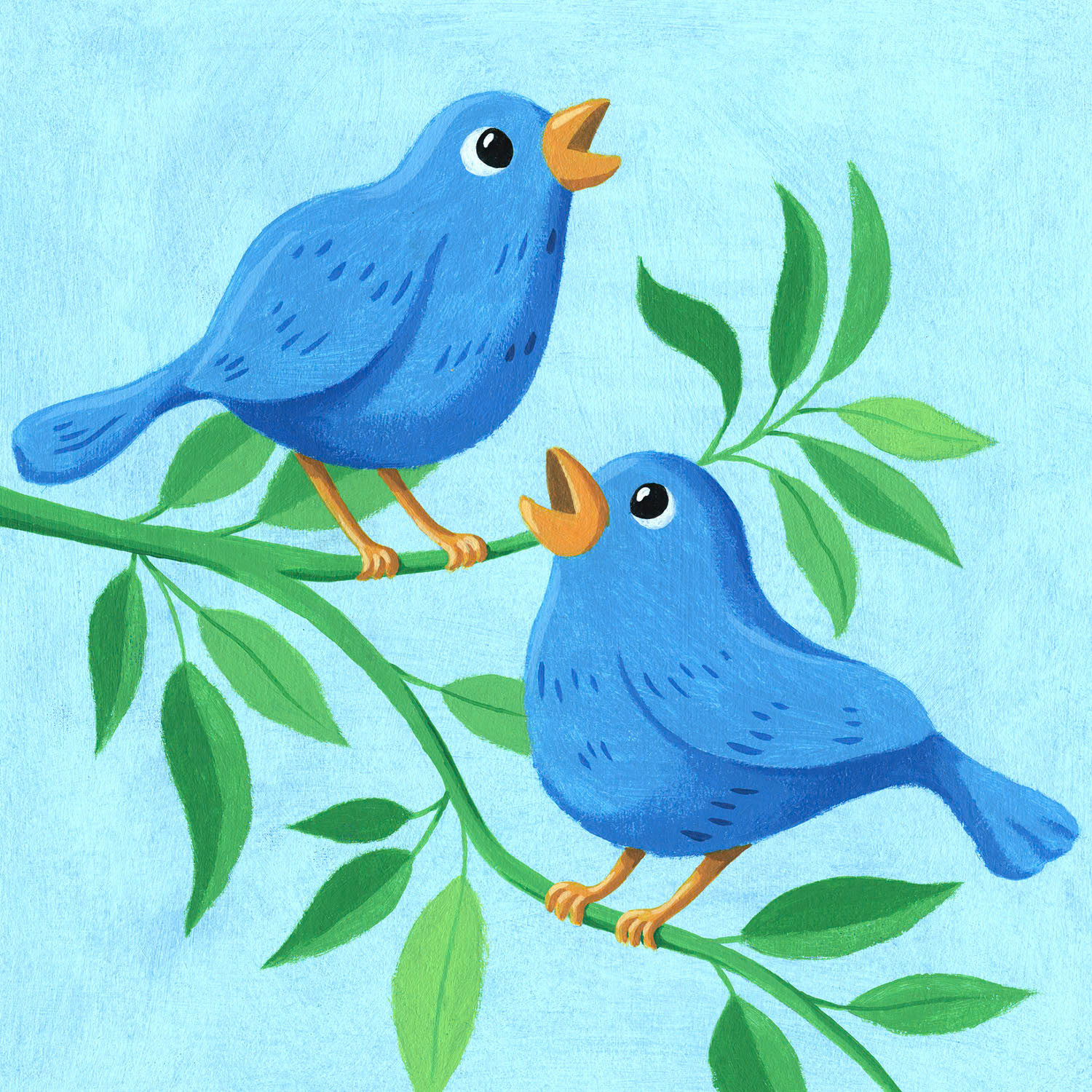 SH_Bird_487-BlueBirds ©Steve Haskamp - Creatif License