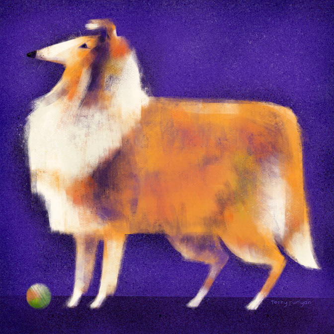 COLLIE 12.25x12.25 _Calendar 2026- calendar club 2024- Dogs- Hires _  Creatif ©Terry Runyan - Creatif License