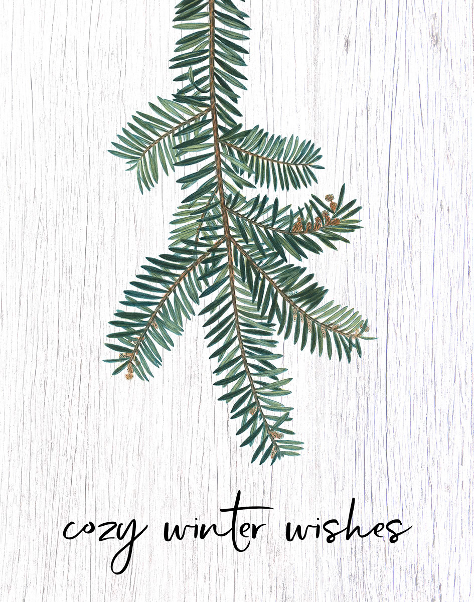 SH_Cmas_Botanical_Cozy Winter Wishes_Creatif ©Steve Haskamp - Creatif License