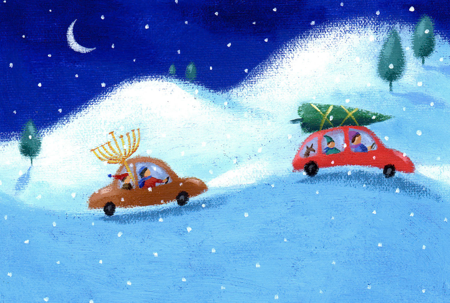 SH_Cmas_174-Holiday cars ©Steve Haskamp - Creatif License