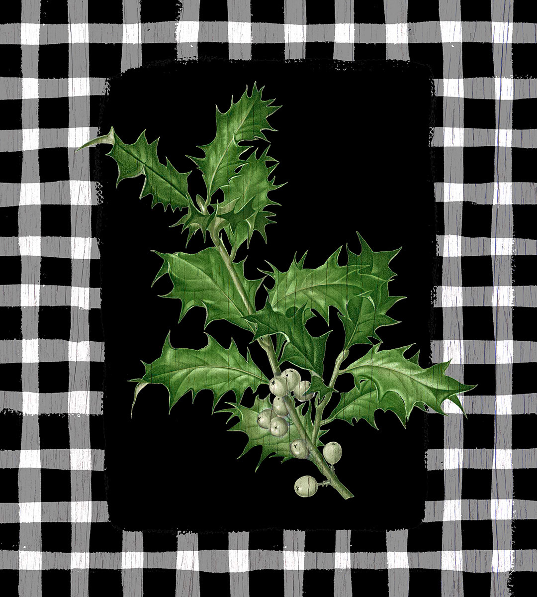 SH_Cmas_Botanical Holly on Check Plaid BW 2_Creatif ©Steve Haskamp - Creatif License