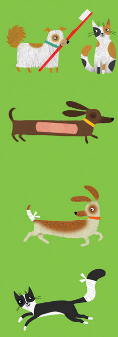 P00324 copy _Cat Dog _  Creatif