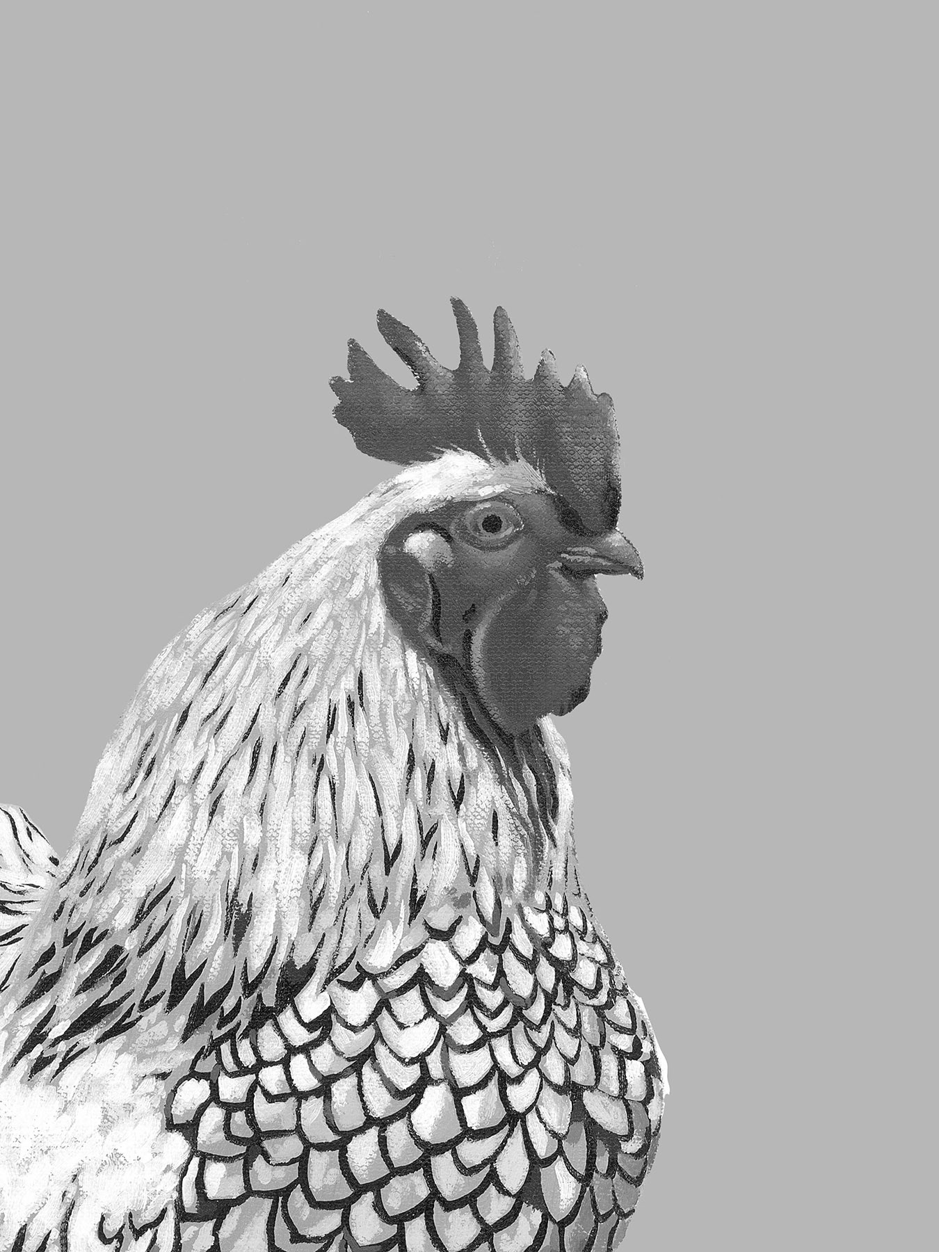SH_Bird_1885_3a_Painted Black White Rooster 12 X 16_Creatif ©Steve Haskamp - Creatif License
