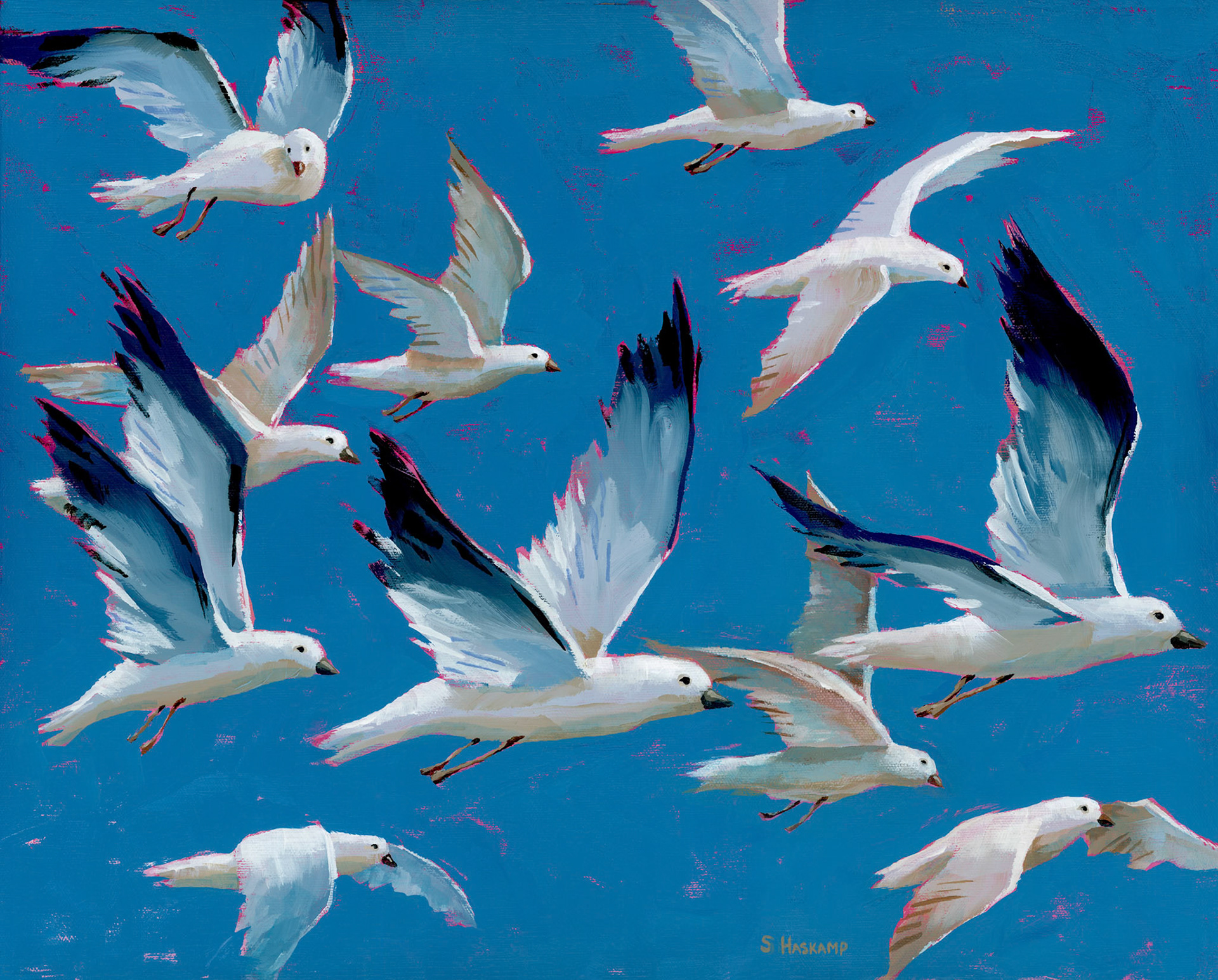 SH_Bird_2836_Flying South_Creatif ©Steve Haskamp - Creatif License