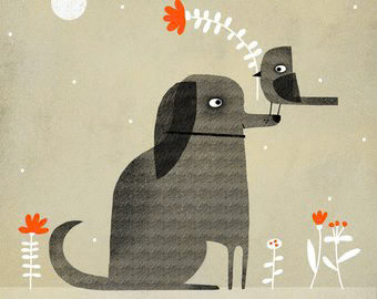 TR-il_340x270-1472859313_is1b-Creatif _Dog _  Creatif