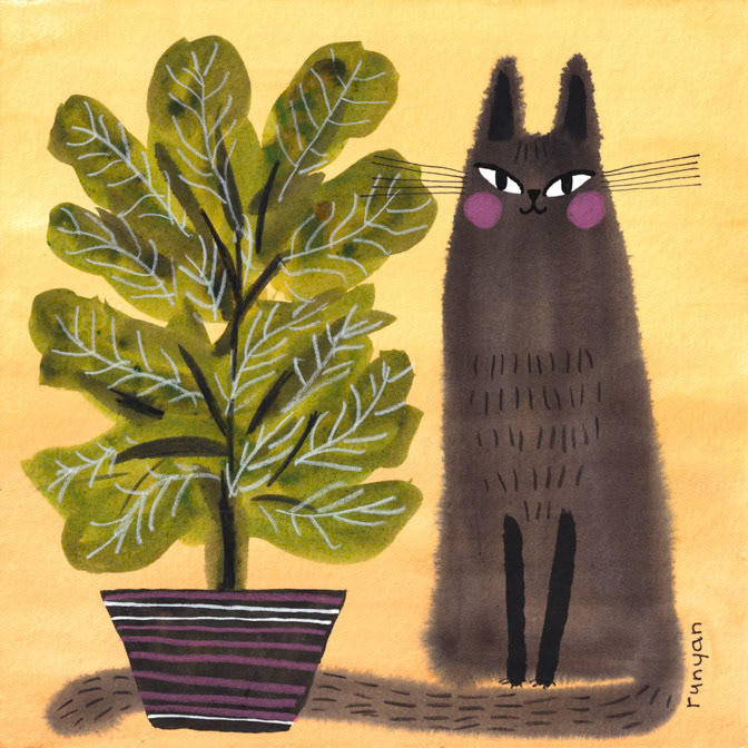 FIDDLE PLANT CAT _Cats _  Creatif