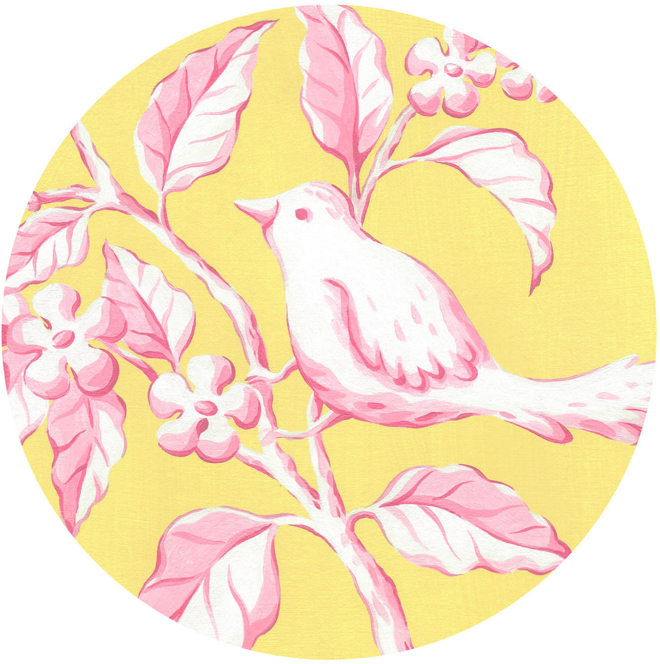 SH_Bird_655a-ToileBirdPlate1 ©Steve Haskamp - Creatif License
