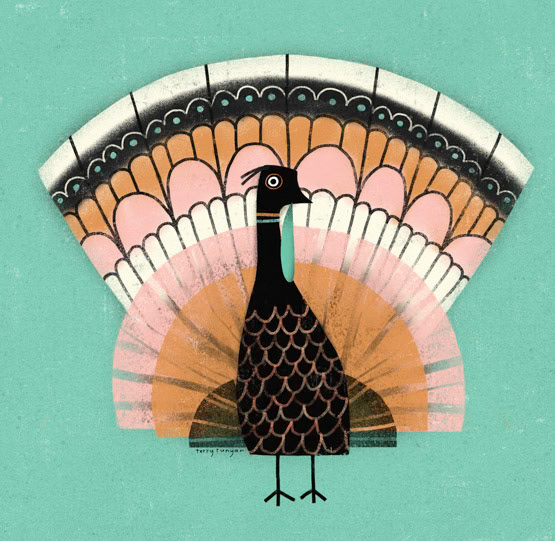 TURKEY-Pier One _Bird- Peacock _  Creatif ©Terry Runyan - Creatif License
