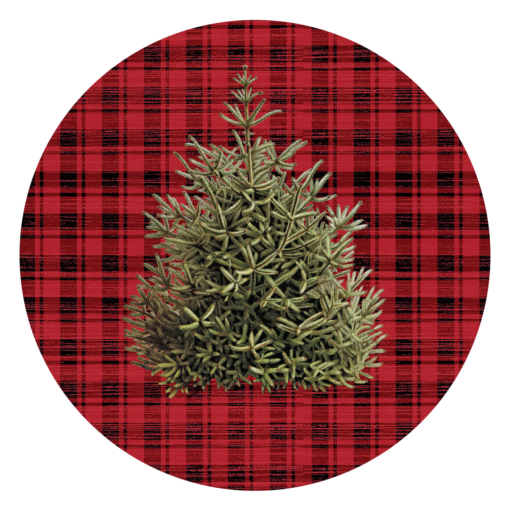SH_Cmas_2552_Xmas Natural Tree on Plaid_Creatif ©Steve Haskamp - Creatif License