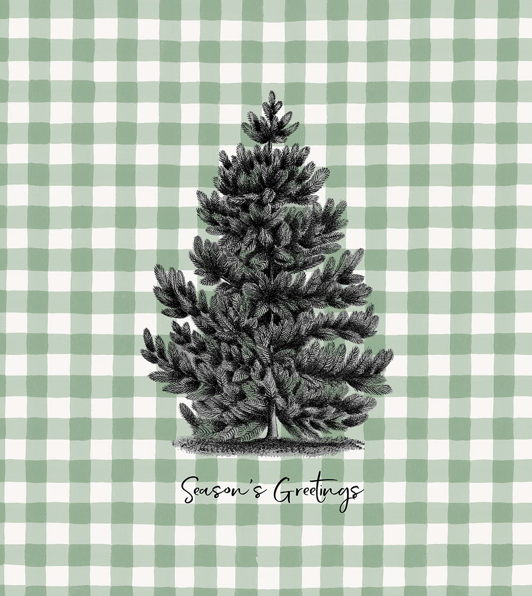 SH_Cmas_conifer-00169_Black White on Green Plaid 2_Creatif ©Steve Haskamp - Creatif License