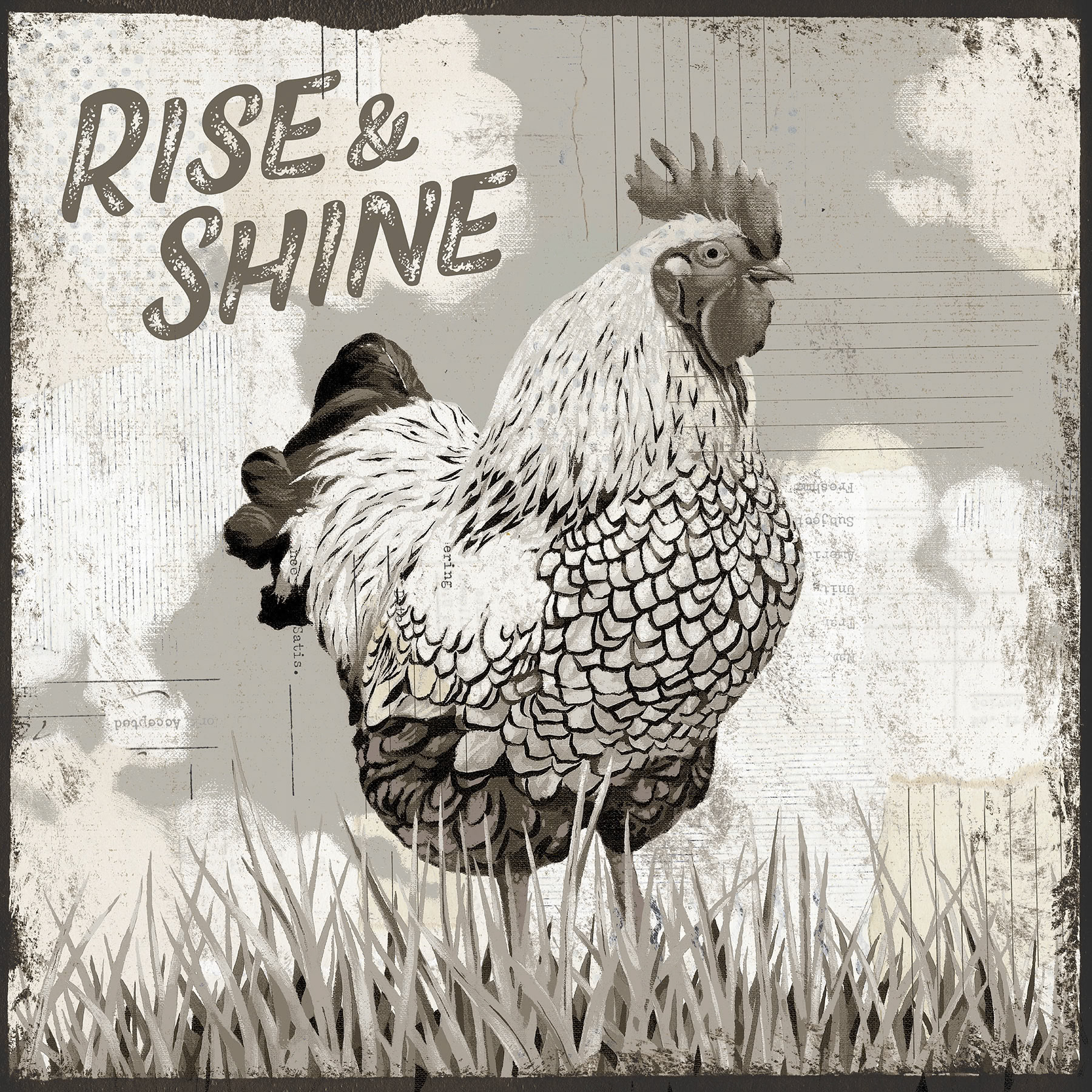 SH_Bird_1885_2_ Sepia Rooster_Creatif ©Steve Haskamp - Creatif License