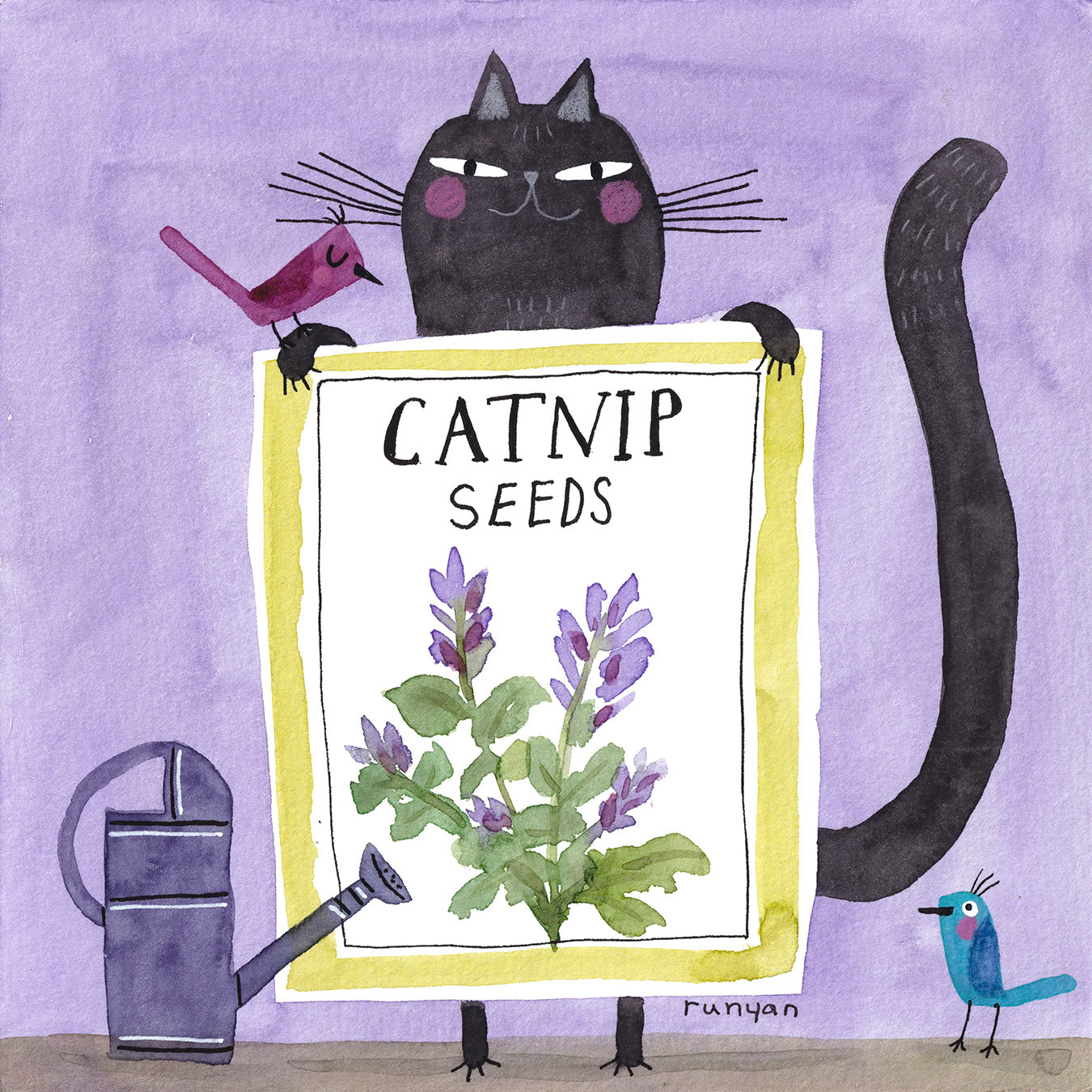 CATNIP SEEDS ©Terry Runyan - Creatif License