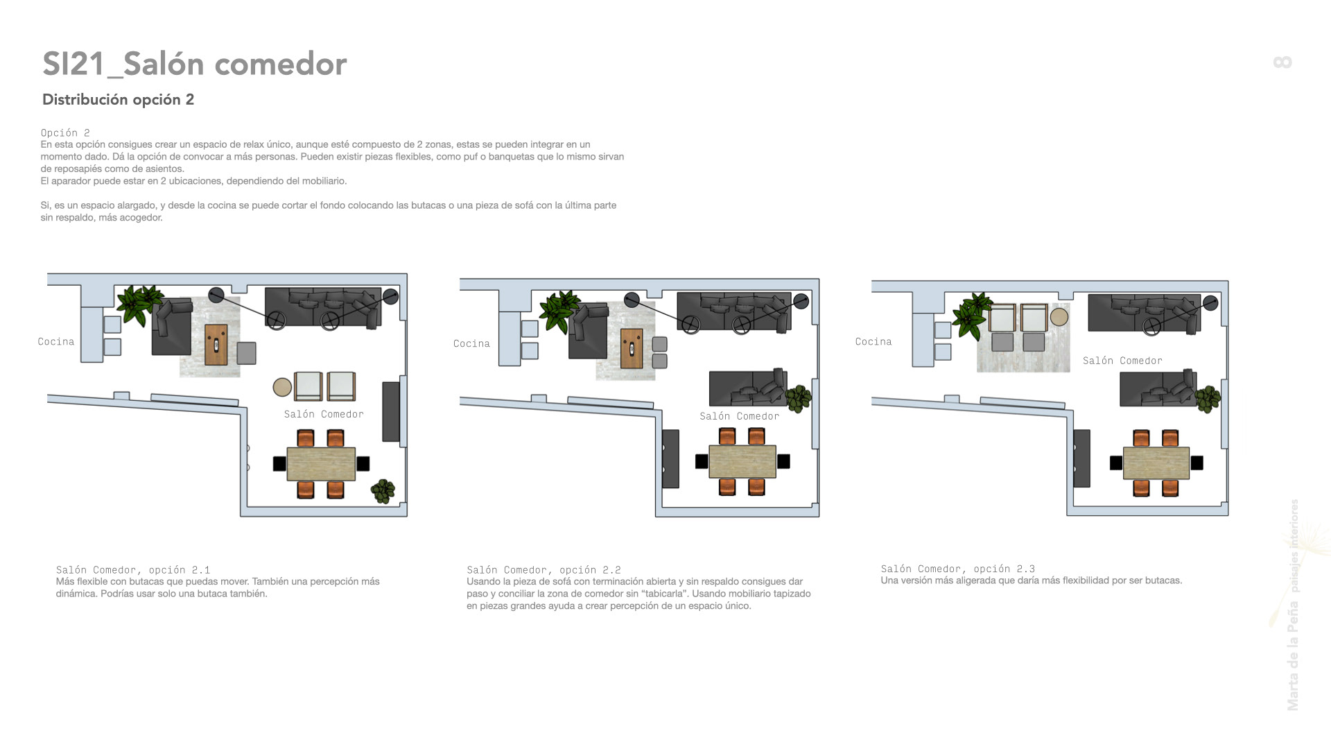 Proyecto de interiorismo para vivienda en el centro de Madrid. Arquitectura de interiores.