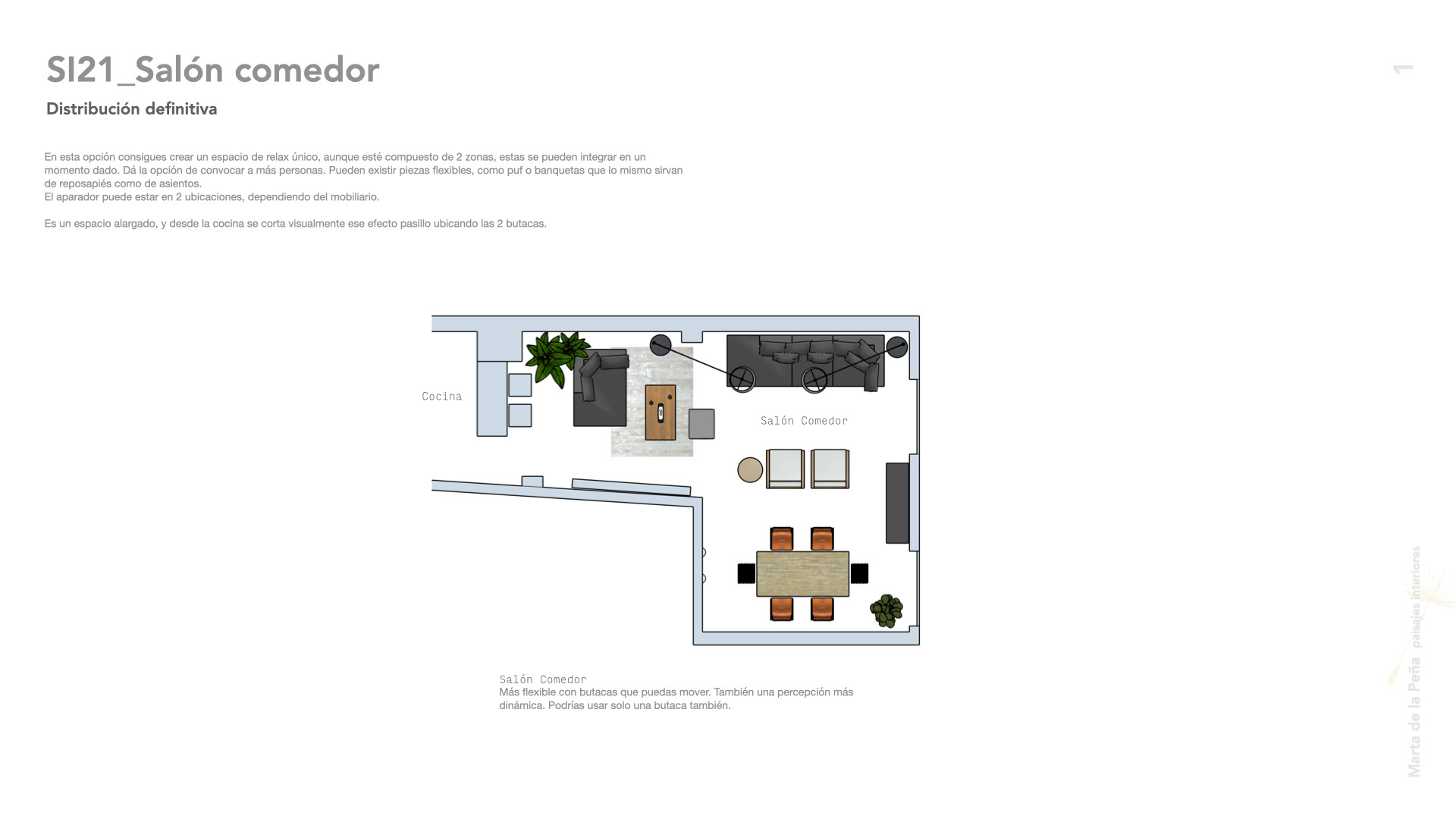 Proyecto de interiorismo para vivienda en el centro de Madrid. Arquitectura de interiores.