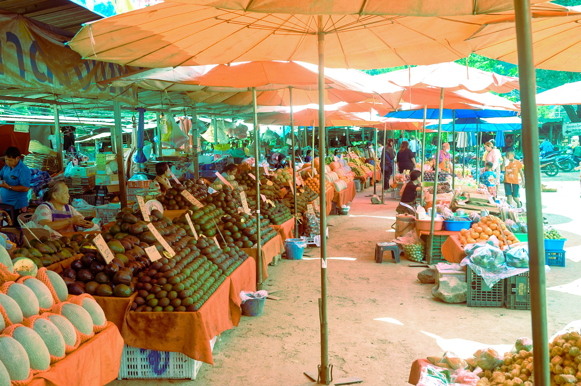 Hmong Market Gulch