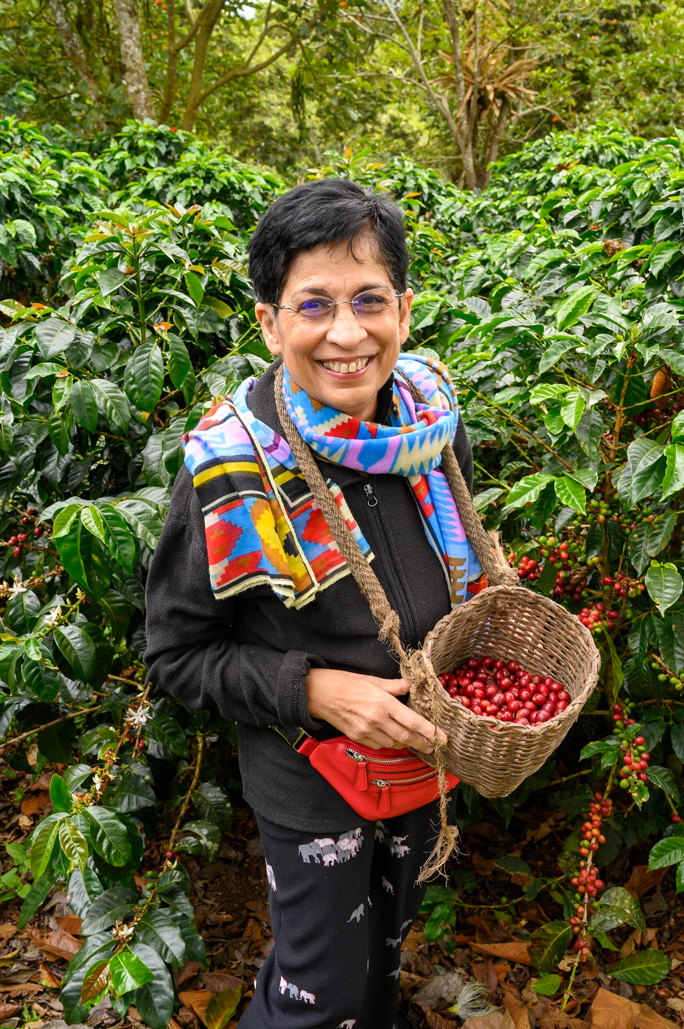 La Finca de Cafe 
