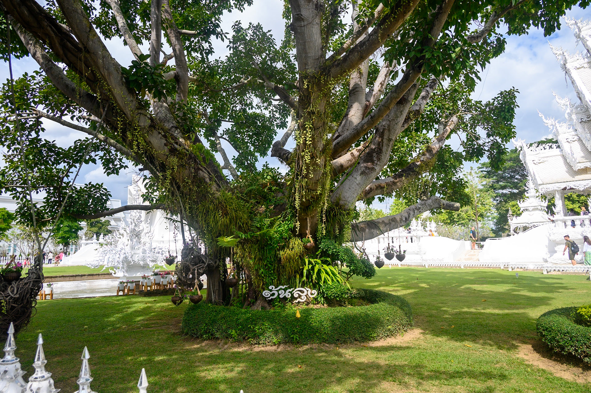 Temple Blanc