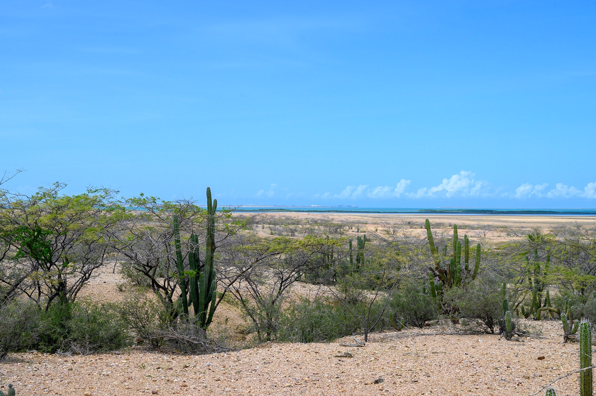 Desert de la Guajira