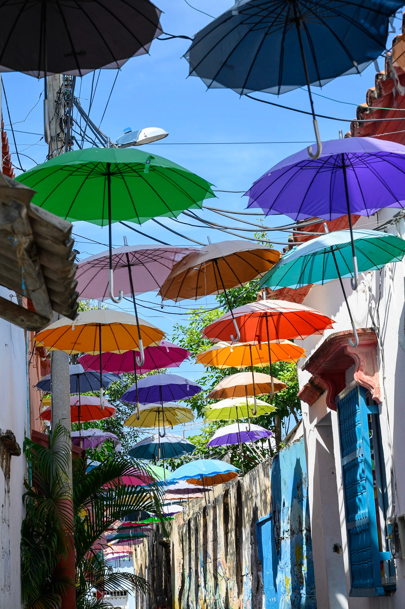 Visite du quartier Getsemani par le guide local