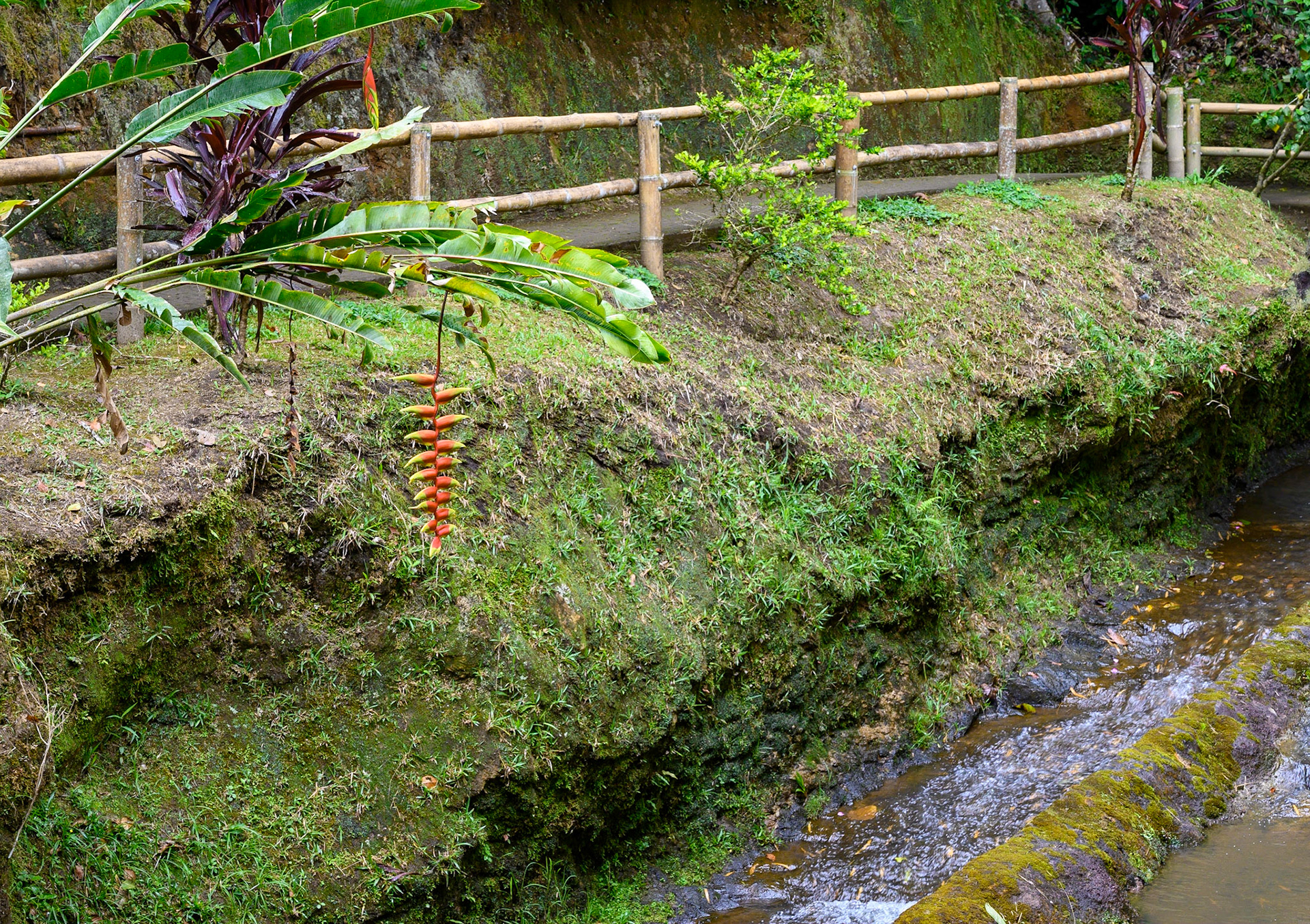 Parc archéologique de San Agustín