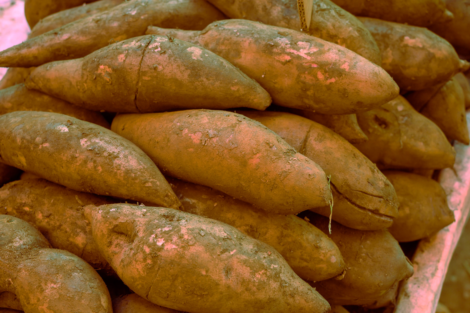 Hmong Market Gulch