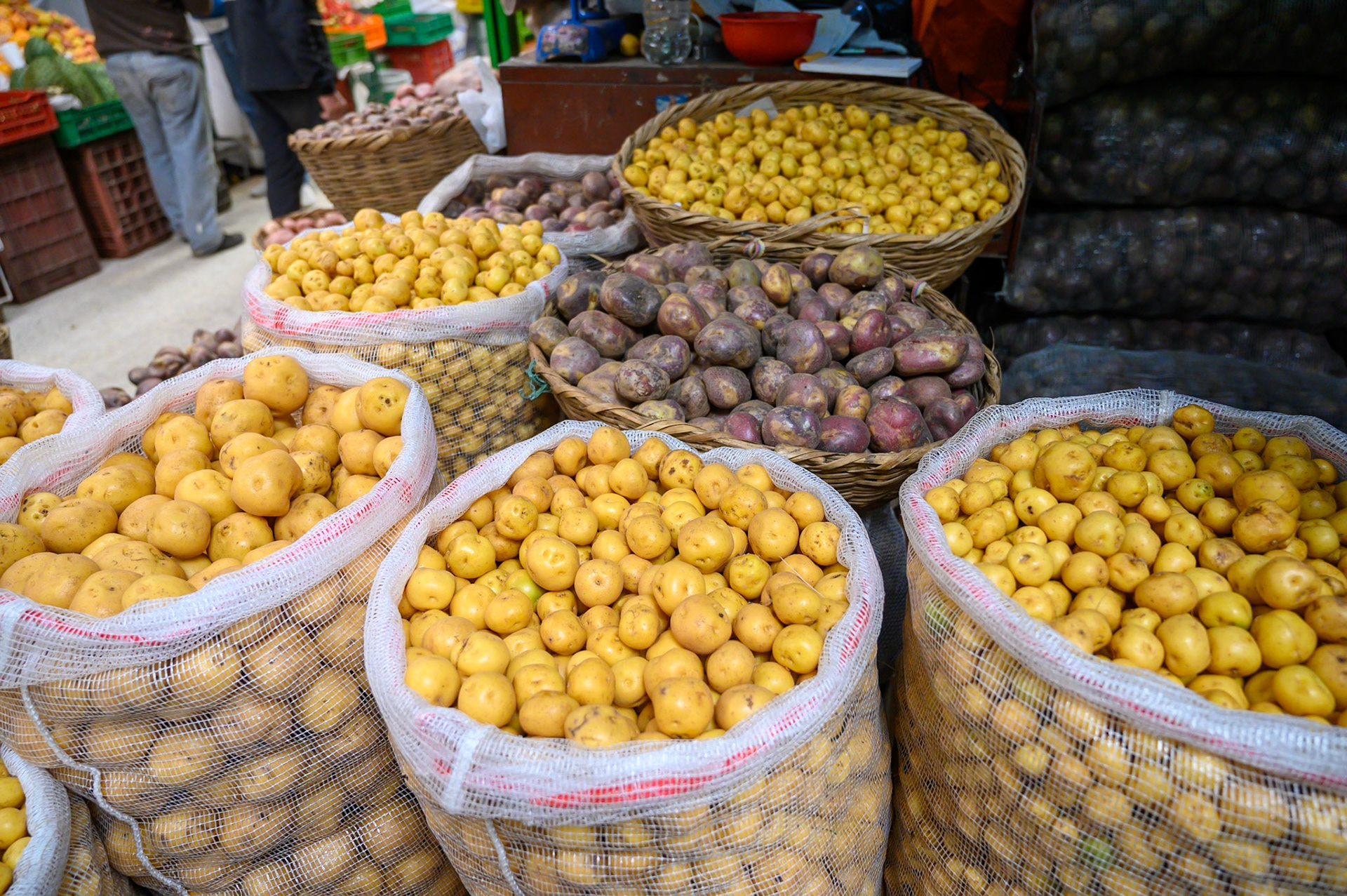 Plaza de Mercado Paloquemao